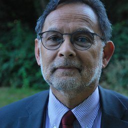 Marinus Van Greuningen