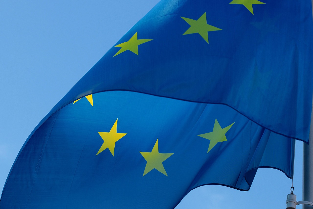 Les Lions en Europe
